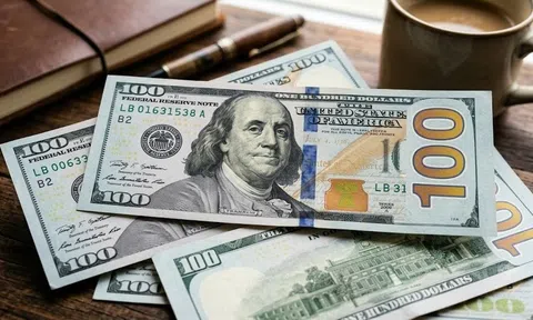 Tỷ giá USD hôm nay 23/9/2026: Đồng USD chạm mức cao nhất trong hai tháng