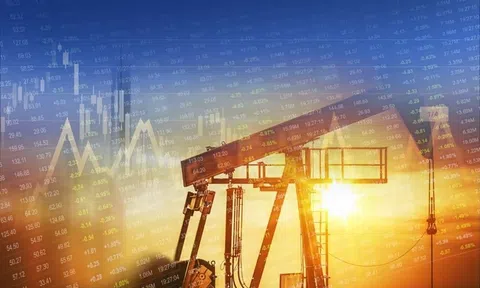 Giá xăng dầu hôm nay 24/9/2026: Bật tăng trở lại