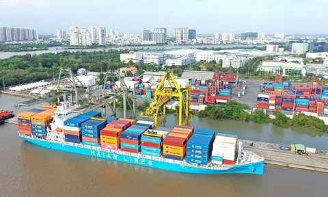 GELEX thoái hết vốn tại Vận tải và Xếp dỡ Hải An sau 1 tháng trở thành cổ đông lớn