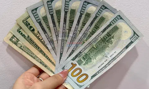 Tỷ giá USD hôm nay 24/9/2026: Giá bán USD giảm