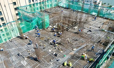 Bảo hiểm thất nghiệp giúp lao động xây dựng chủ động trước chuyển đổi
