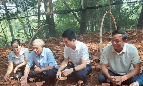 Nhà khoa học Nguyễn Tiến Ky: Bám sát công nghệ, lấy đổi mới sáng tạo làm động lực