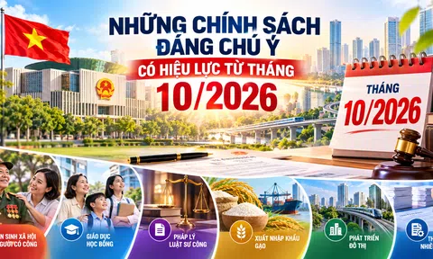 [Infographic] Những chính sách đáng chú ý có hiệu lực từ tháng 10/2026