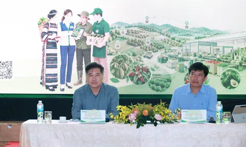 Gỡ điểm nghẽn để giữ mã số vùng trồng, cơ sở đóng gói