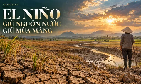 [Emagazine] El Niño đe dọa an ninh lương thực: Giữ nguồn nước, giữ mùa màng