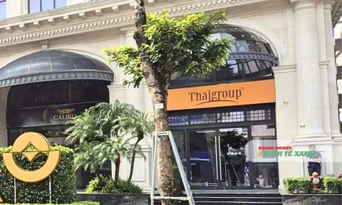 Thaiholdings mua thêm hơn 78 triệu cổ phần Thaigroup, vì sao tỷ lệ sở hữu vẫn giảm?