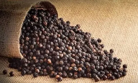 Giá tiêu hôm nay 7/10/2026: Việt Nam nhập khẩu kỷ lục gần 50.000 tấn hồ tiêu chỉ sau 9 tháng