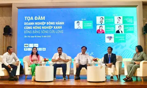 Thuốc bảo vệ thực vật và bài toán sản xuất lúa chất lượng cao, phát thải thấp ở ĐBSCL