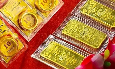 Giá vàng hôm nay 11/10/2026: Đồng loạt đi ngang