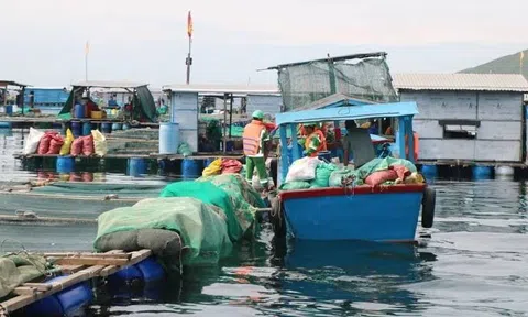 Khánh Hòa yêu cầu 100% chủ lồng bè ký cam kết không xả rác ra biển