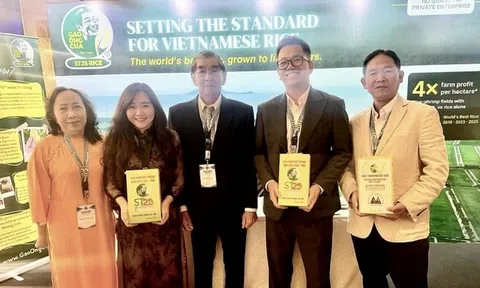Gạo Ông Cua ST25 giành giải Nhì thế giới năm 2026: Bản lĩnh thương hiệu gạo Việt