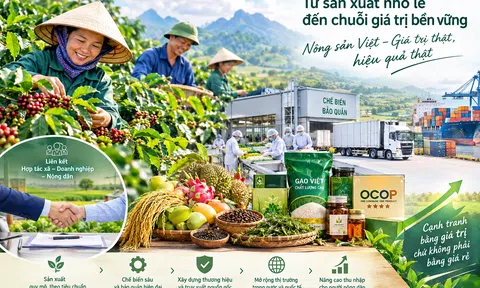 Áp lực cạnh tranh và giảm giá nông sản: Đâu là cốt lõi?