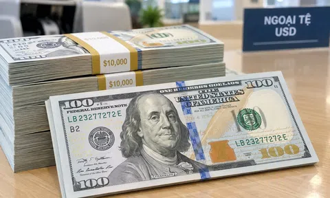 Tỷ giá USD hôm nay 14/10/2026: Đồng USD rời đỉnh 18 tháng