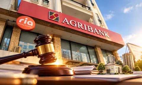 Agribank đấu giá 13 khoản nợ, giá khởi điểm gần 840 tỷ đồng