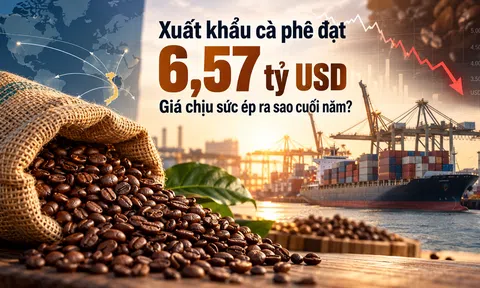 [Emagazine] Xuất khẩu cà phê đạt 6,57 tỷ USD, giá chịu sức ép ra sao cuối năm?