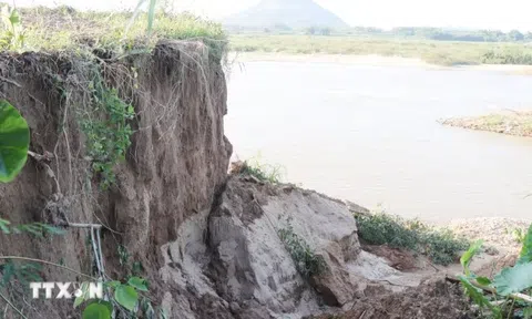 Quảng Ngãi: Sạt lở bờ sông Trà Khúc, đất sản xuất và nhà dân bị đe dọa