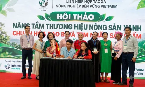 Liên hiệp HTX Nông nghiệp bền vững Vietfarm: Kết nối nguồn lực, kiến tạo giá trị nông nghiệp xanh