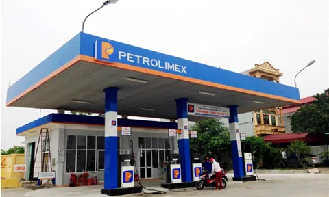 Giá xăng dầu hôm nay 20/10/2026: Giá dầu Brent giảm nhẹ