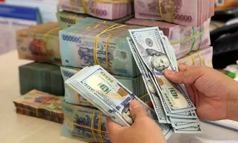 Tỷ giá USD hôm nay 20/10/2026: Đồng USD tăng trở lại