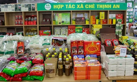 Vì sao cần tổ chức kinh tế tiêu dùng từ cơ sở?