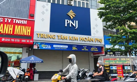 PNJ trình cổ đông phương án tái thiết toàn diện, hướng tới phục hồi kinh doanh