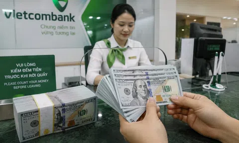 Tỷ giá USD hôm nay 23/10/2026: Ổn định ở mức 25.632 đồng/USD