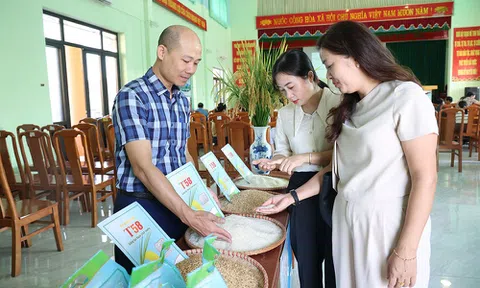 Bắc Ninh: Giống lúa T58 mở triển vọng nâng cao hiệu quả sản xuất vụ mùa