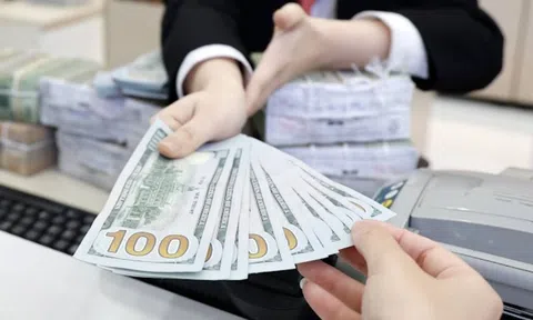 Tỷ giá USD hôm nay 24/10/2026: Tỷ giá trung tâm giảm 5 đồng