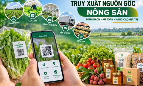 Hải Phòng: Triển khai hệ thống truy xuất nguồn gốc nông sản