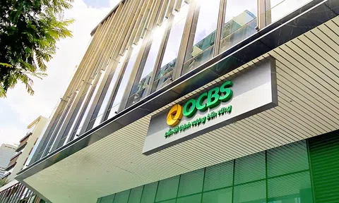 Chứng khoán OCBS bị phạt 342,5 triệu đồng, chi phí lãi vay gấp 12,5 lần