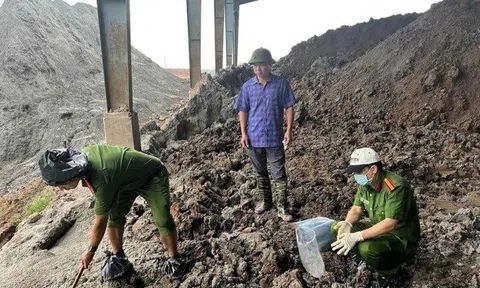 Hải Phòng: Truy tố giám đốc Tân Thuận Phong về hành vi gây ô nhiễm môi trường
