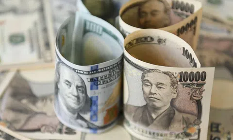 Tỷ giá USD hôm nay 28/10/2026: Đồng USD giảm