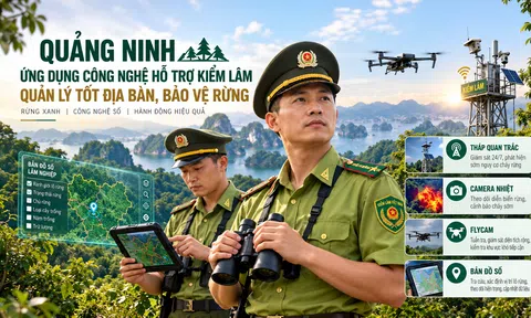 Quảng Ninh ứng dụng công nghệ số, nâng cao hiệu quả quản lý và bảo vệ rừng