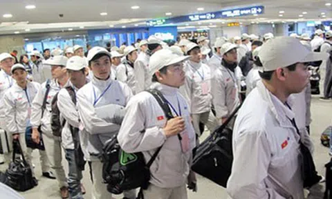 Điều kiện, thủ tục để công ty kinh doanh dịch vụ đưa người lao động đi nước ngoài làm việc