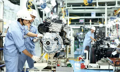 Doanh nghiệp thành lập mới và quay trở lại hoạt động tăng mạnh