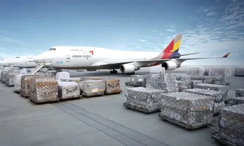 Cần thiết lập hãng hàng không chuyên chở hàng hóa