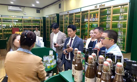 Cà phê kết nối KVECC – VNCBC: Cơ hội tăng cường hợp tác kinh doanh Hàn–Việt–Campuchia