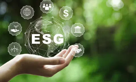 Tích hợp ESG và công nghệ số - Hành trình kiến tạo doanh nghiệp xanh tại TP.HCM