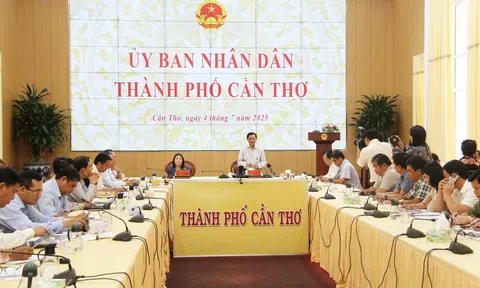 Cần Thơ phân công nhiệm vụ Chủ tịch và các Phó Chủ tịch UBND TP nhiệm kỳ mới