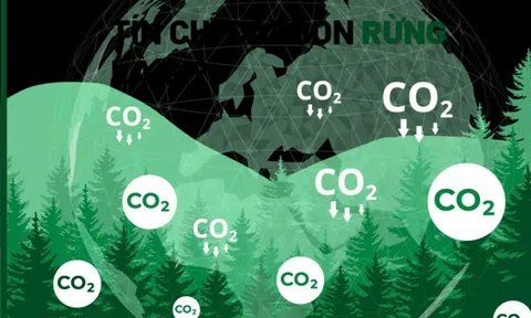 Minh bạch hóa tín chỉ carbon và tiếp cận tài chính xanh nhờ công nghệ blockchain