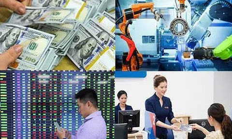 Cà Mau: Tăng tốc cải cách tài chính công giai đoạn 2026–2028