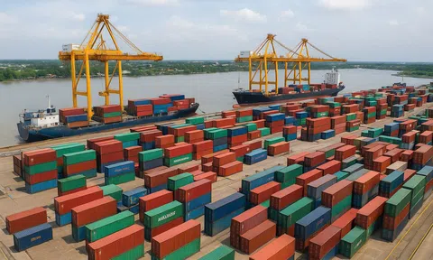 Kinh tế tư nhân Cần Thơ: Động lực bứt phá, trụ cột hạt nhân ĐBSCL