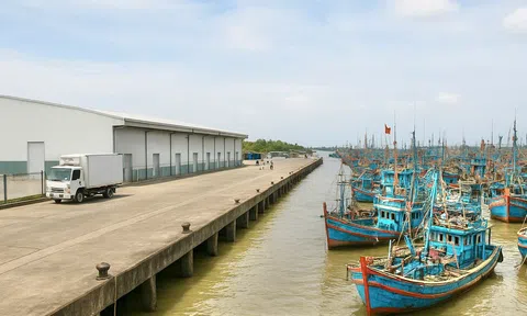 Vĩnh Long thành lập Ban Quản lý Cảng cá, quản lý thủy sản bền vững