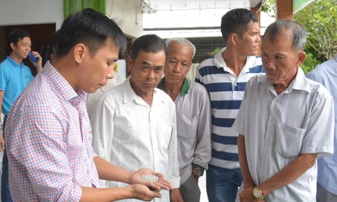 Tìm giải pháp cải tạo đất cho vùng lúa – tôm An Giang: Hướng đến phát triển bền vững