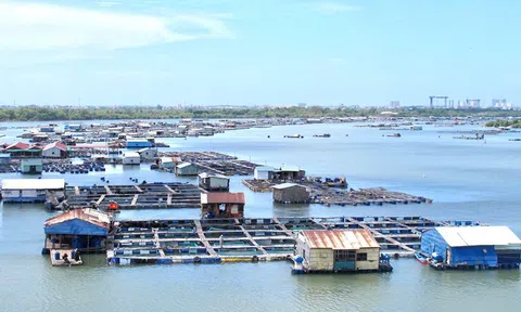 Cần Thơ chuyển đổi nghề khai thác hải sản giúp ngư dân ổn định cuộc sống