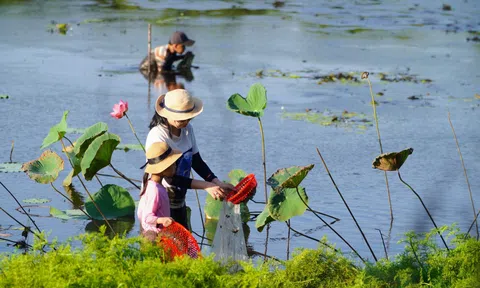 Độc đáo lễ hội “Phá Trằm” hơn 300 năm ở Quảng Trị