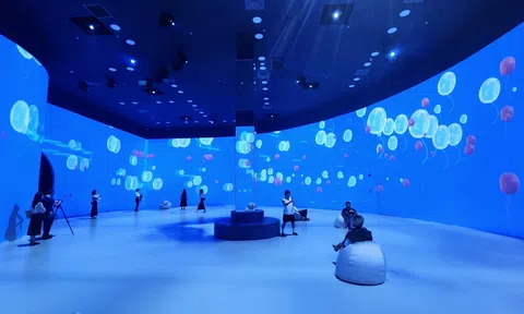 Không gian kỹ thuật số “triệu đô” lần đầu xuất hiện tại Việt Nam