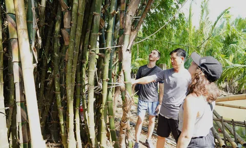 “Vua tre đất Quảng” và sứ mệnh nâng tầm giá trị tinh hoa tre Việt