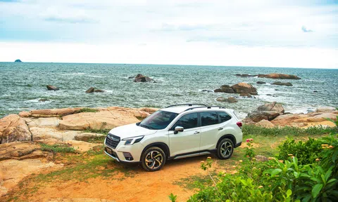 Thị trường ô tô kỳ vọng phục hồi doanh số sau một năm “ảm đạm”