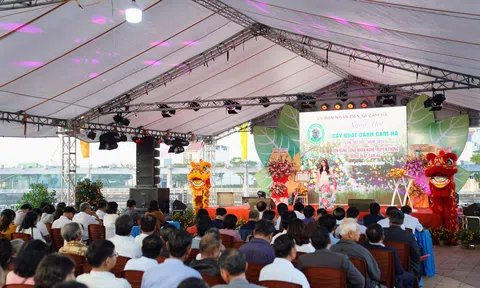 Ngày hội cây cảnh đem rộn ràng sắc xuân đến với vùng quê Cẩm Hà